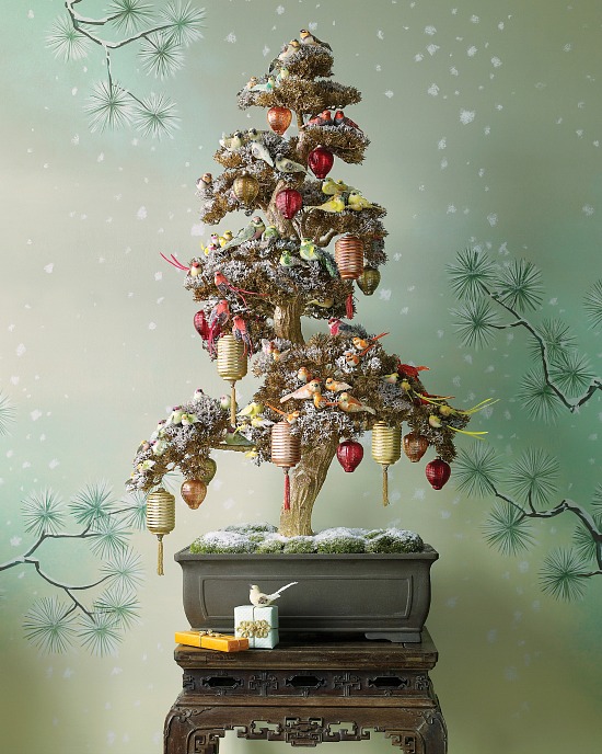 bonsai Christmas tree