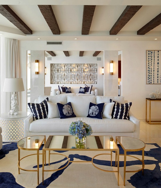transitional-living-room-in-navy-blue