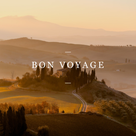 bon-voyage-graphic (1)