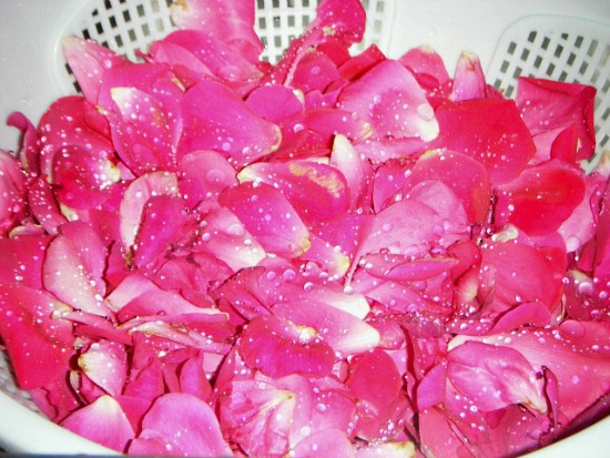 rinsed-rose-petals1