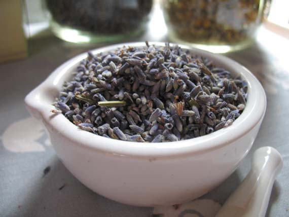 organic dried lavender