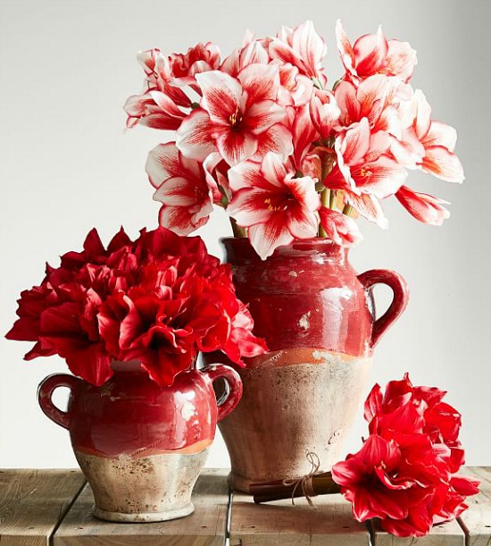 sonoma-ceramic-vases-red