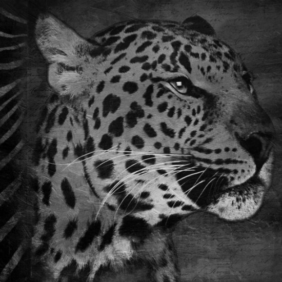 Animal Instincts Black And White Mate Poster Print by Jace Grey
