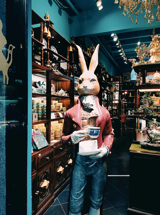 antique-store-rabbit-drinking-coffee