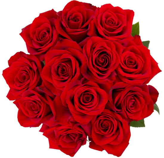 fresh-red-rose-bouquet
