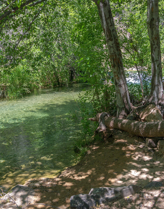 lazy-river-creek