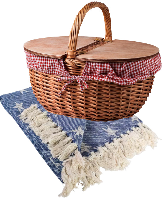 patriotic-party-ideas-picnic-basket