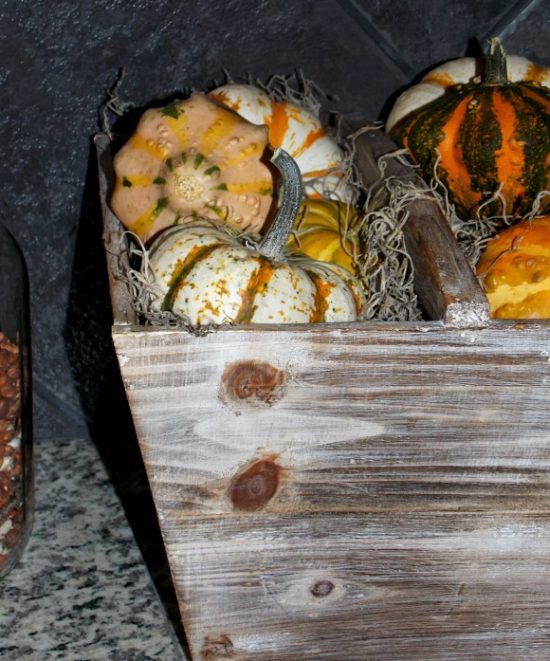 decorative-gourds-squash