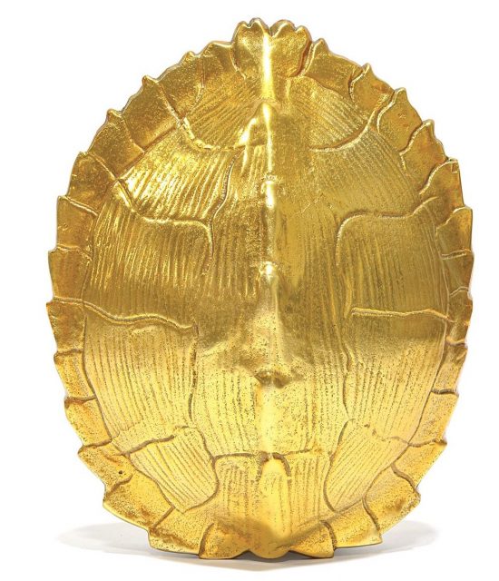 gold turtle shell