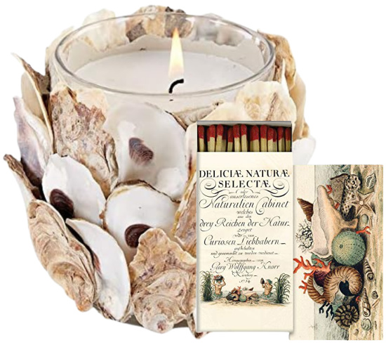 oyster-shells-candles
