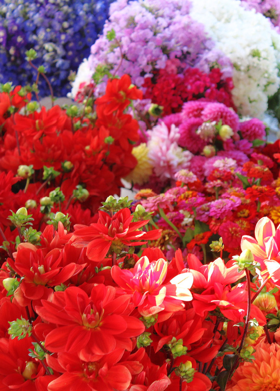 farmer's-market-fresh-flowers (1)