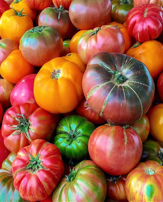 fresh-tomatoes-various-colors