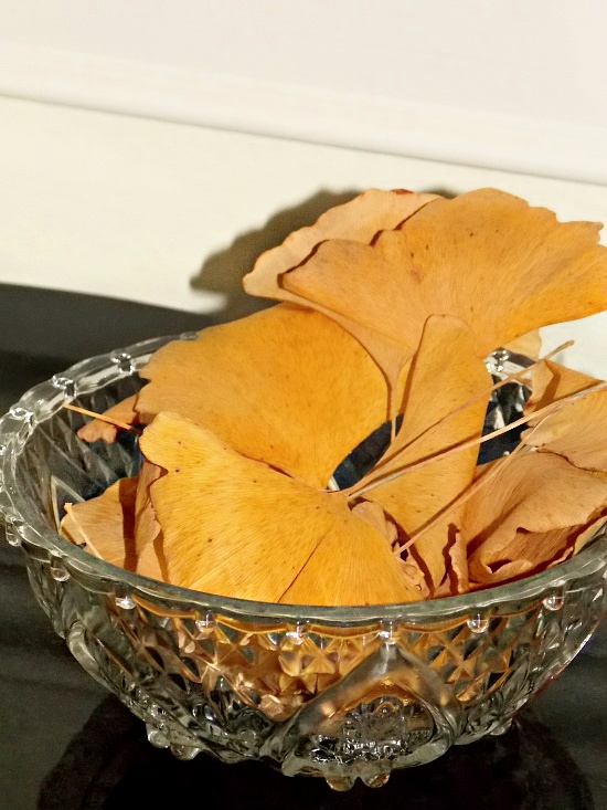 ginkgo-leaves-in-bowl