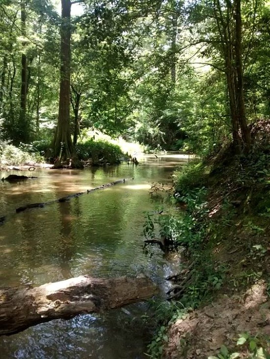 spring-creek