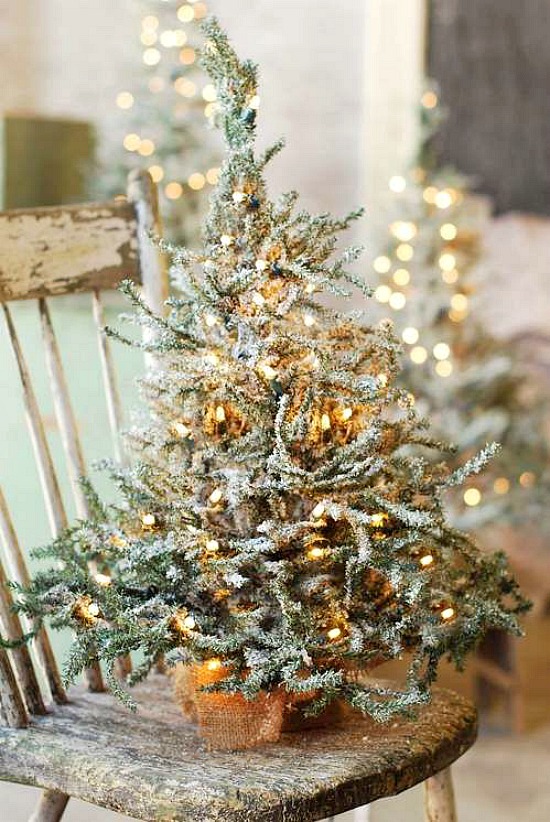 small-Christmas-tree