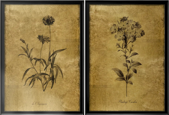 Gold Sketch Botanical I Framed On Canvas 2 Pieces Painting