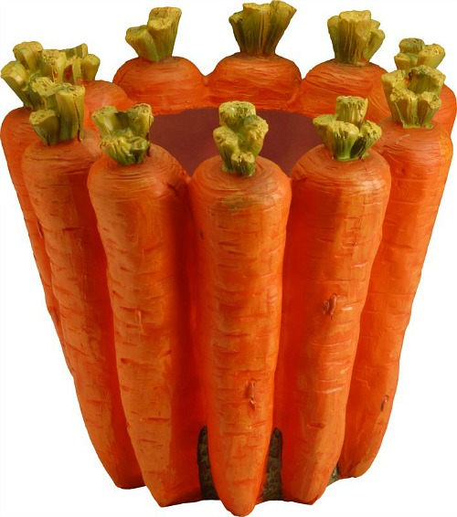 Carrot+Flower+Plastic+Pot+Planter