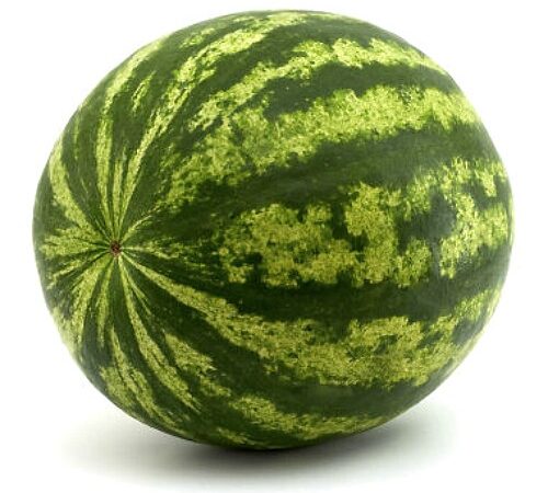 mini-watermelon