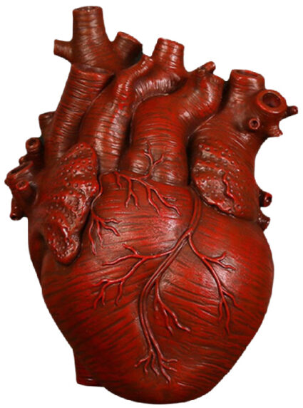 Anatomical-Heart-Shape-Form-Bud-Vase-red