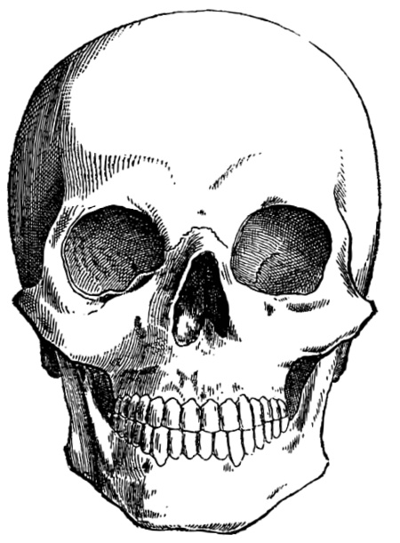 free-printable-skull-pattern