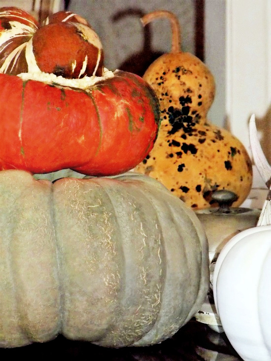 stacked-gourds-pumpkin (1)