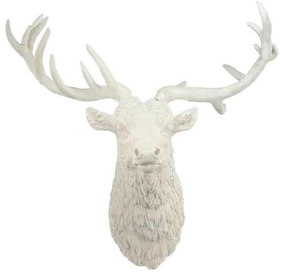 Aged White Darby Deer Head Wall Decor Accent