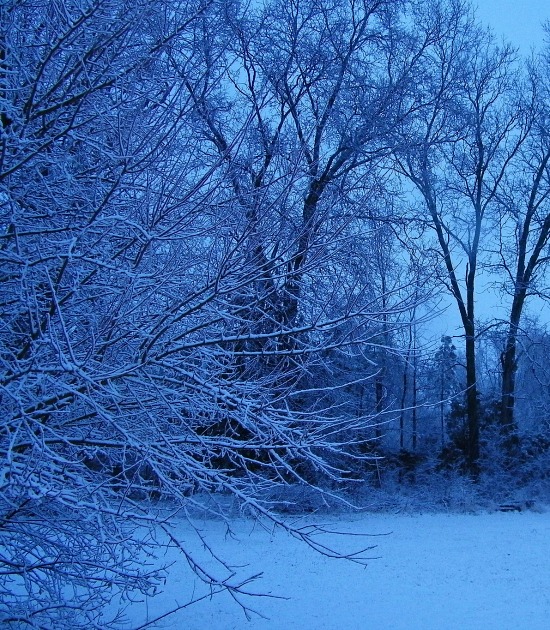 winter blues