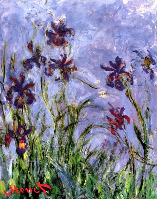 Irises By Claude Monet