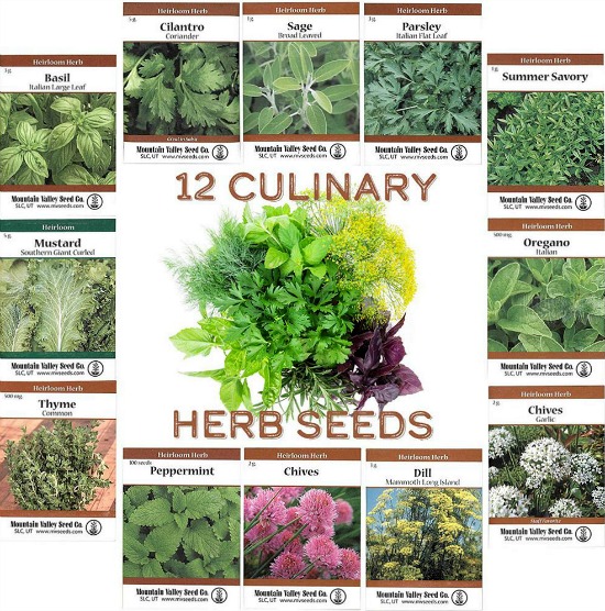 mountain-valley-seed-company-vegetable-herb-seeds