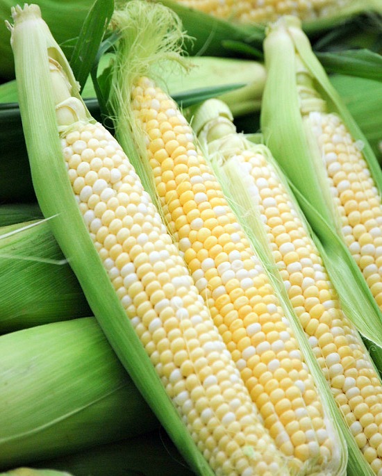 fresh corn