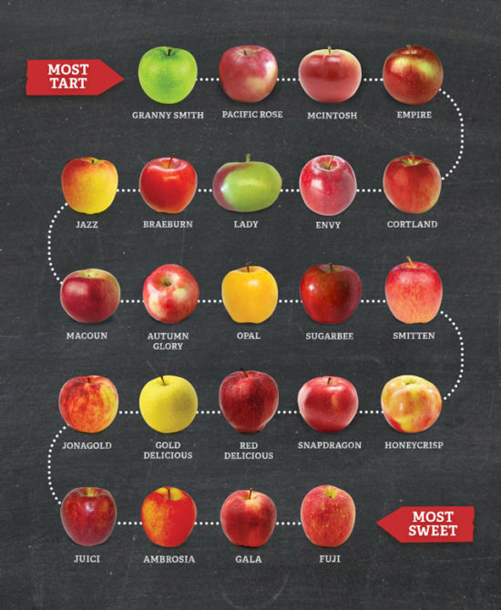 types of apples graphic