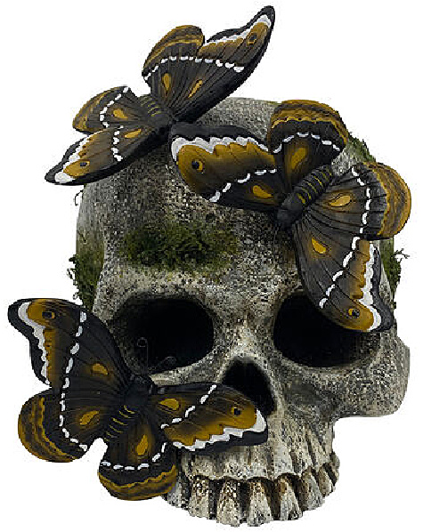 Halloween Skeleton Tabletop Decor with Moths