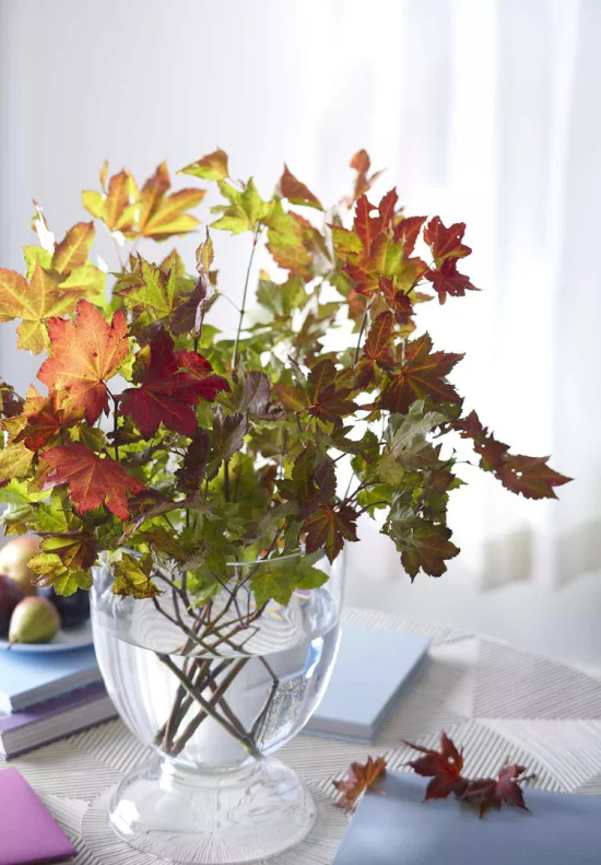 autumnal-arrangement-leaves-vase