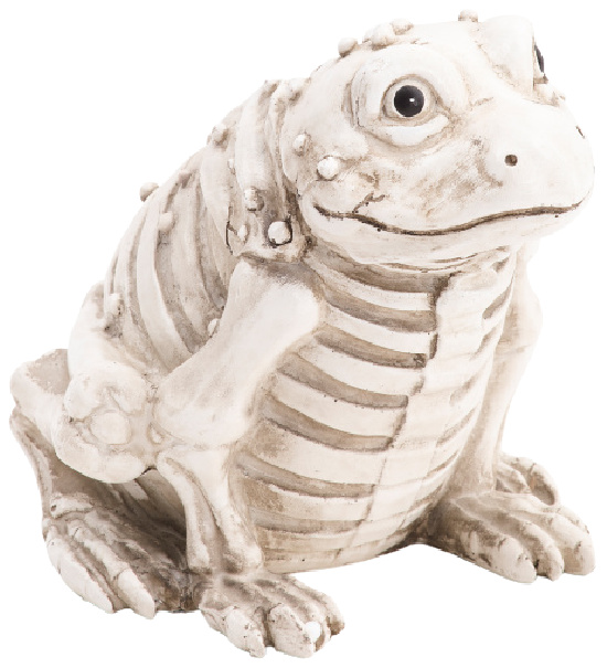 resin-skull-frog