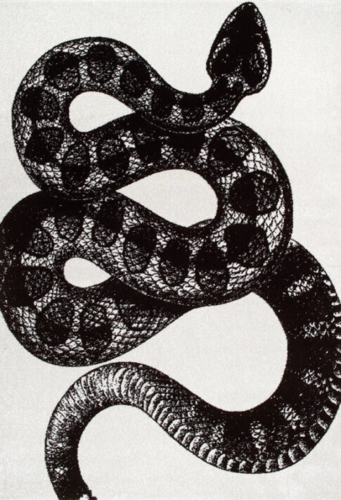 nuLOOM-Black-and-White-Made-by-Thomas-Paul-Slithering-Serpent-Area-Rug (1)