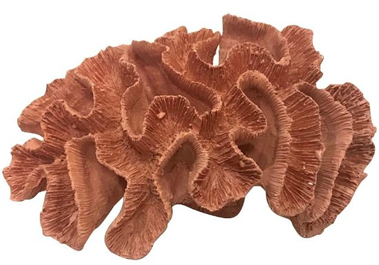 decorative coral