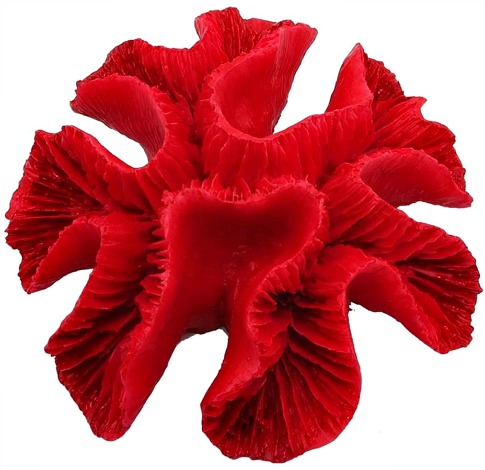 red-coral