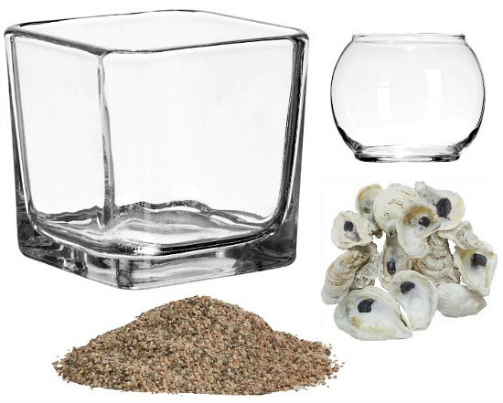 oyster-shells-in-glass-containers