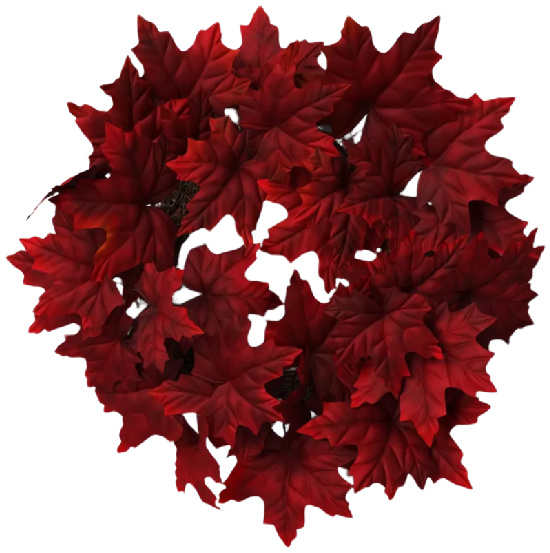 Mini Maple Leaf Wreath Red 