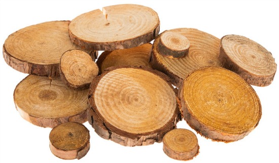 pine wood discs