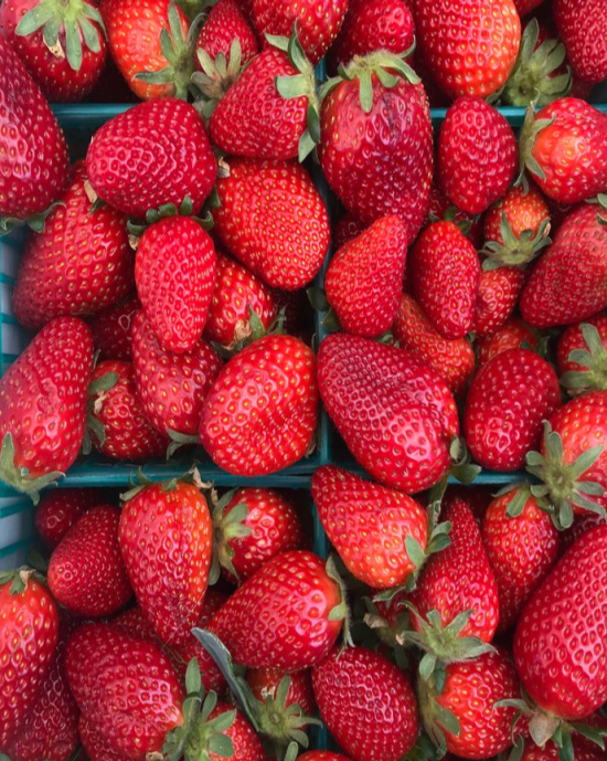 fresh-strawberries-farmers-market-pints