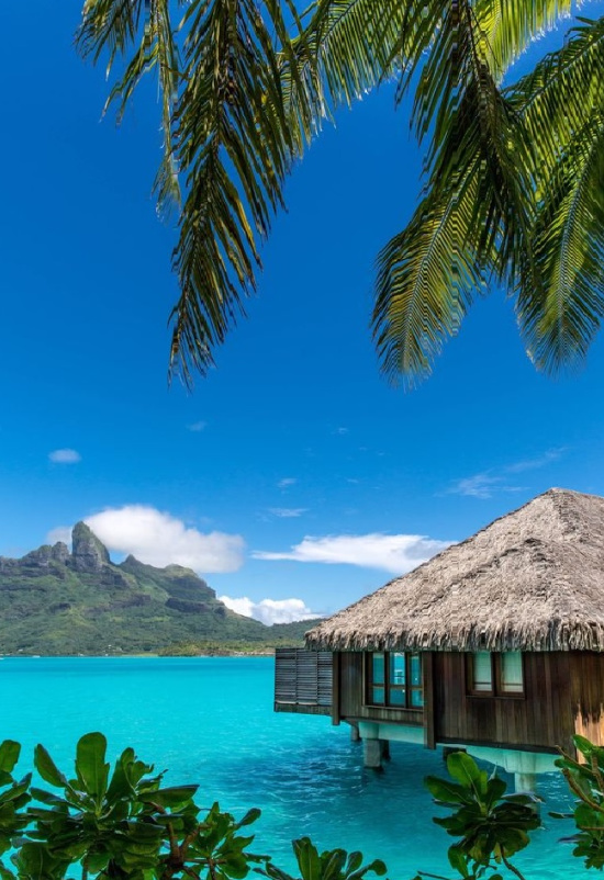  The St. Regis Bora Bora Resort