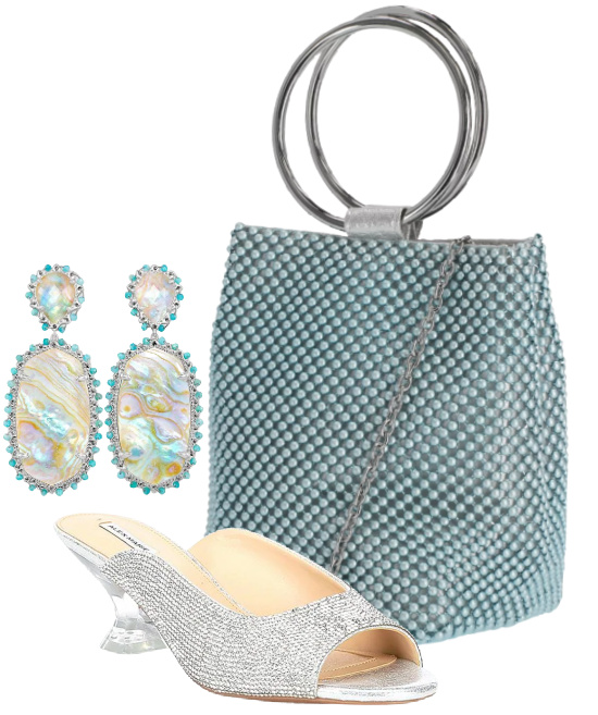 day-into-evening-handbag-earrings-shoes