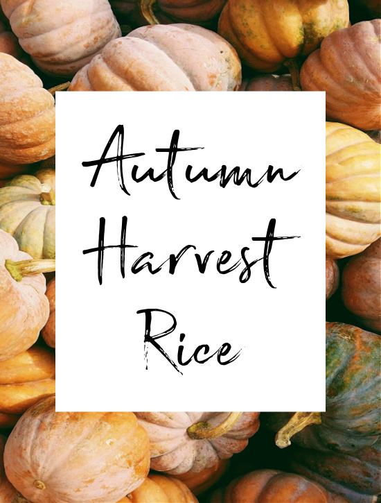 Autumn-Harvest-Rice-Recipe-pumpkins-fall