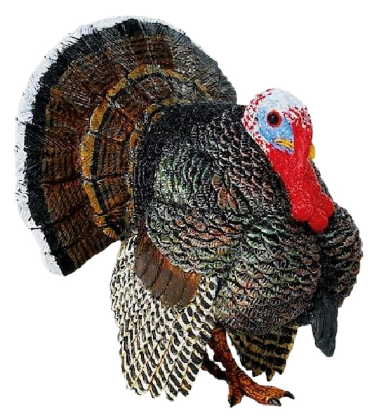 Talking All Things Thanksgiving Turkey