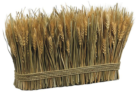 decorative-wheat