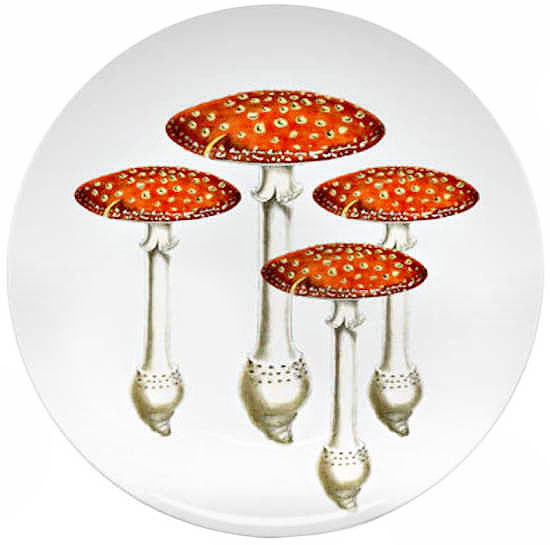 Mushroom Art Plates