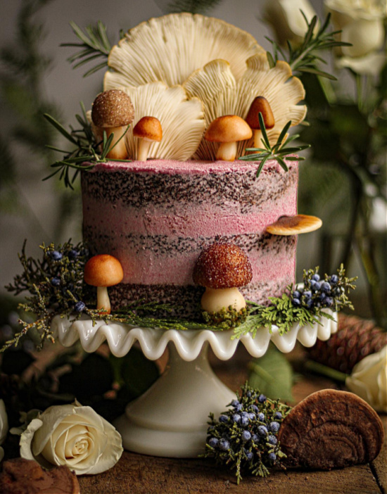 mocha-mushroom-cake (1)