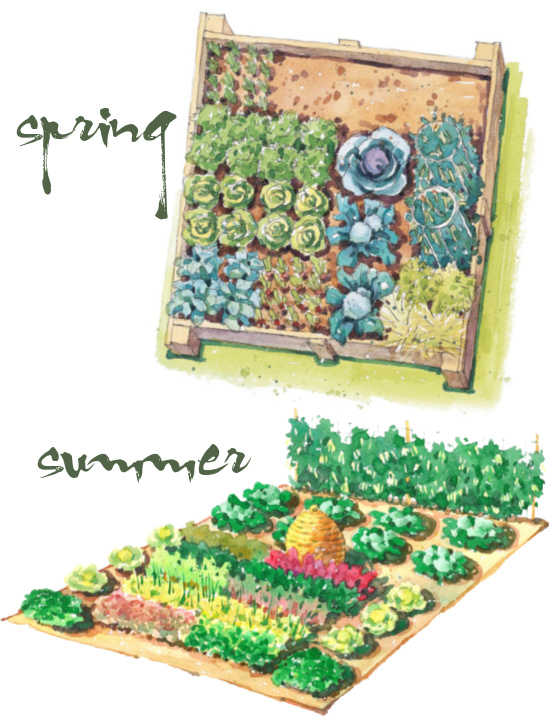 spring-summer-vegetable-garden-plans