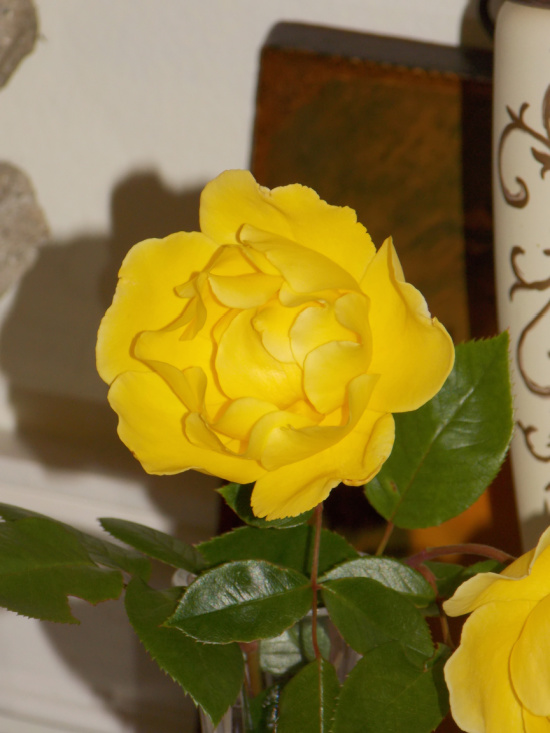 yellow-roses-in-vase